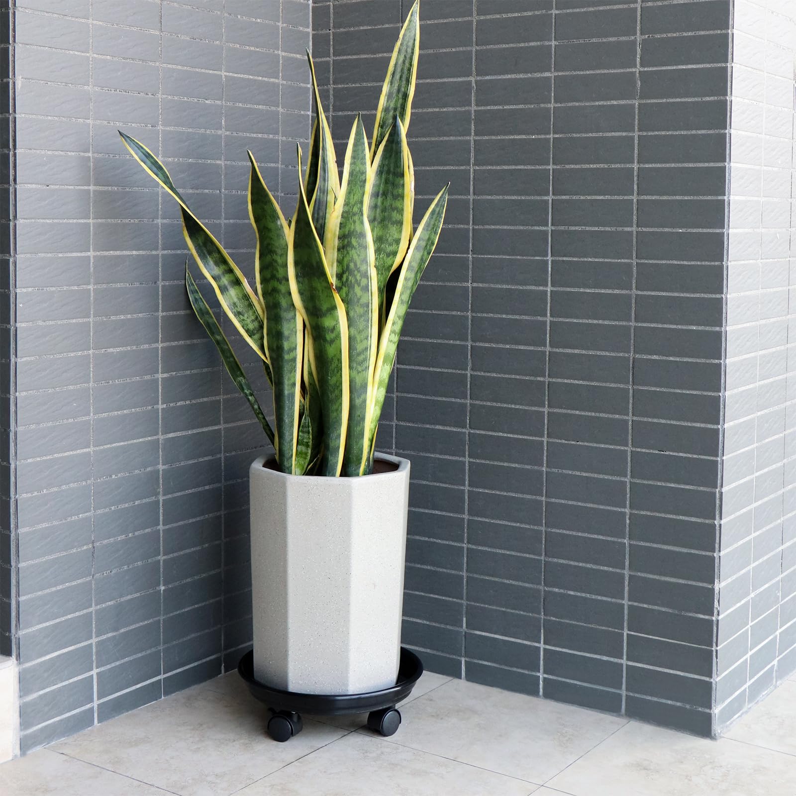 11.6 Inch Black Resin Plant Caddy with Wheels - Round Plant Pot Trolley & Mobile Plant Pallet for Indoor/Outdoor Gardening, Home Decor, and Easy Plant Movement
