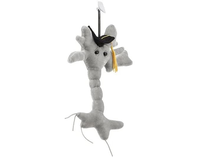 GIANTmicrobes Graduation Brain Cell Plush Toy - Class of 2025 Graduation Gift for Nurses, Medical Students & Science Lovers | Cute Stuffed Animal for Graduation Parties, Office Decor & College Dorm