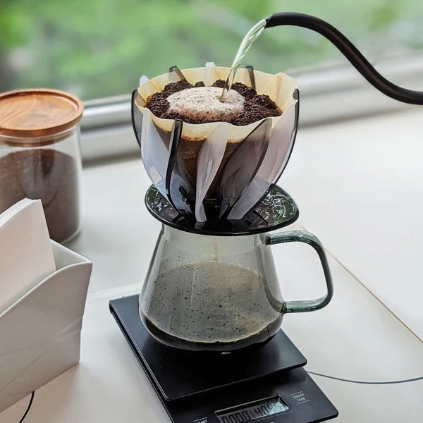 Hario Alpha Starter Kit - Premium Coffee Dripper Set with Glass Carafe & Filters for Pour Over Brewing | Perfect for Home Baristas & Coffee Enthusiasts