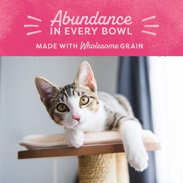 Natural Balance Fat Cats Chicken Meal & Salmon Meal Recipe Dry Cat Food - High Protein, Grain-Free Cat Food for Weight Management - Perfect for Indoor Cats & Overweight Felines