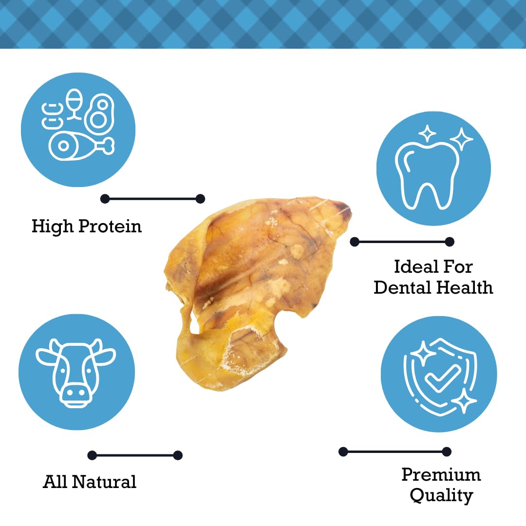 Premium Natural Pig Ears Dog Treats - 100% All-Natural Pork Chews for Dental Health, High Protein Low Fat Digestible Snacks for All Dog Breeds & Sizes (15 Count Pack) - Perfect for Training Rewards & Chewing Needs