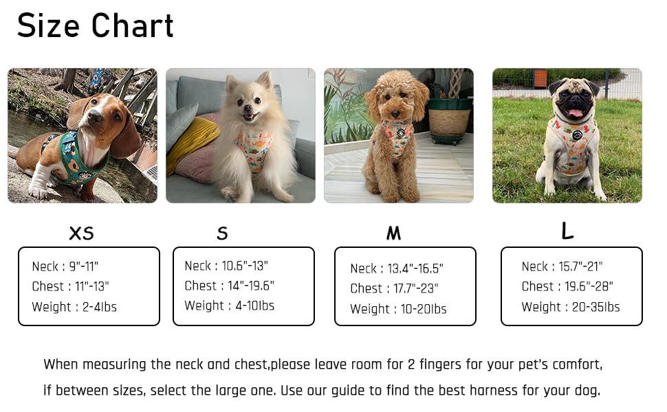 **Adjustable No-Pull Dog Harness and Leash Set for Small, Medium & Large Dogs - Comfortable Walking & Training Gear for Puppies & Pets - Perfect for Outdoor Adventures, Hiking & Daily Walks**