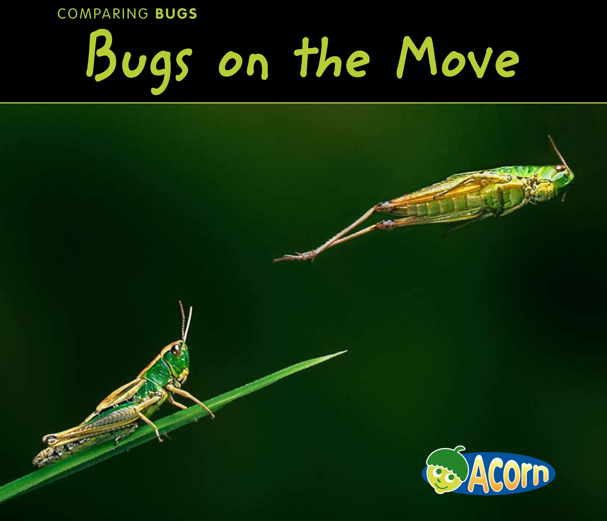 Bugs on the Move - Comparing Insects for Kids | Educational Nature Book for Outdoor Learning & Science Exploration