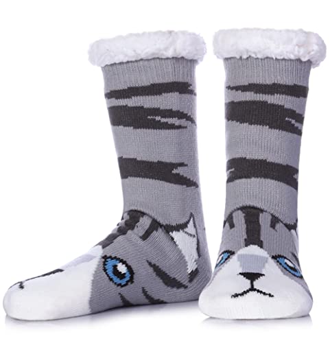 Gray Cat