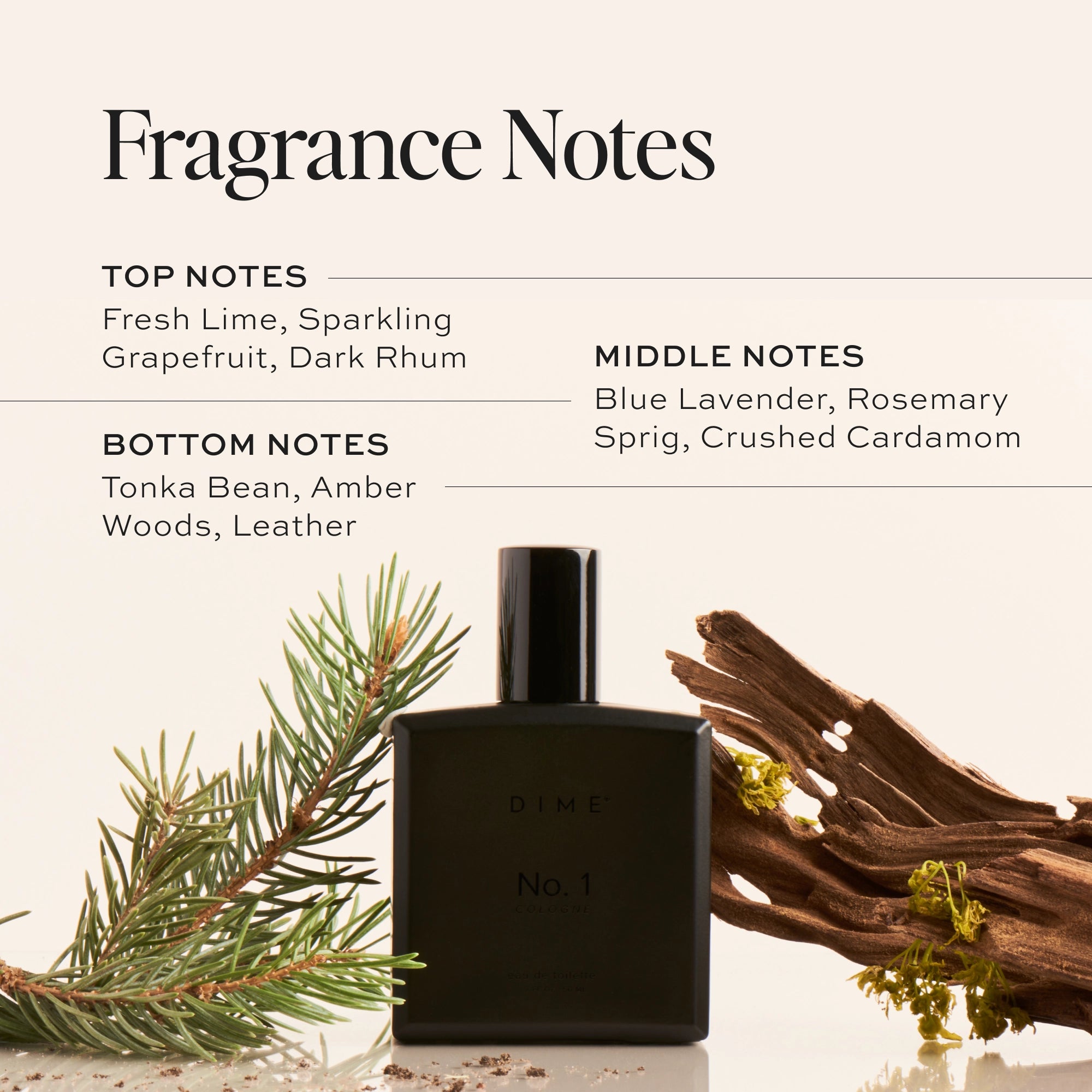 DIME No. 1™ Cologne for Men - Premium Long Lasting Fragrance | Fresh & Masculine Scent | Perfect for Date Night, Office & Special Occasions
