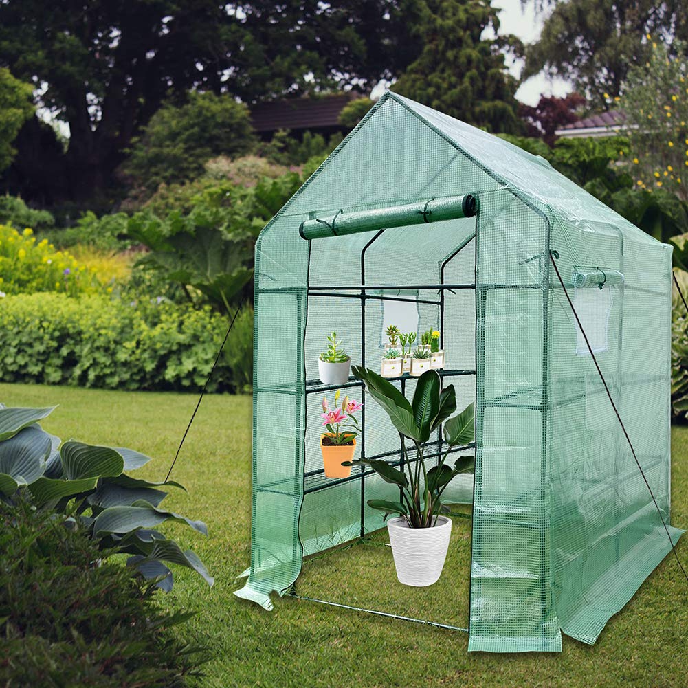 Walk-in Greenhouse for Outdoor Plants - Portable Large 56