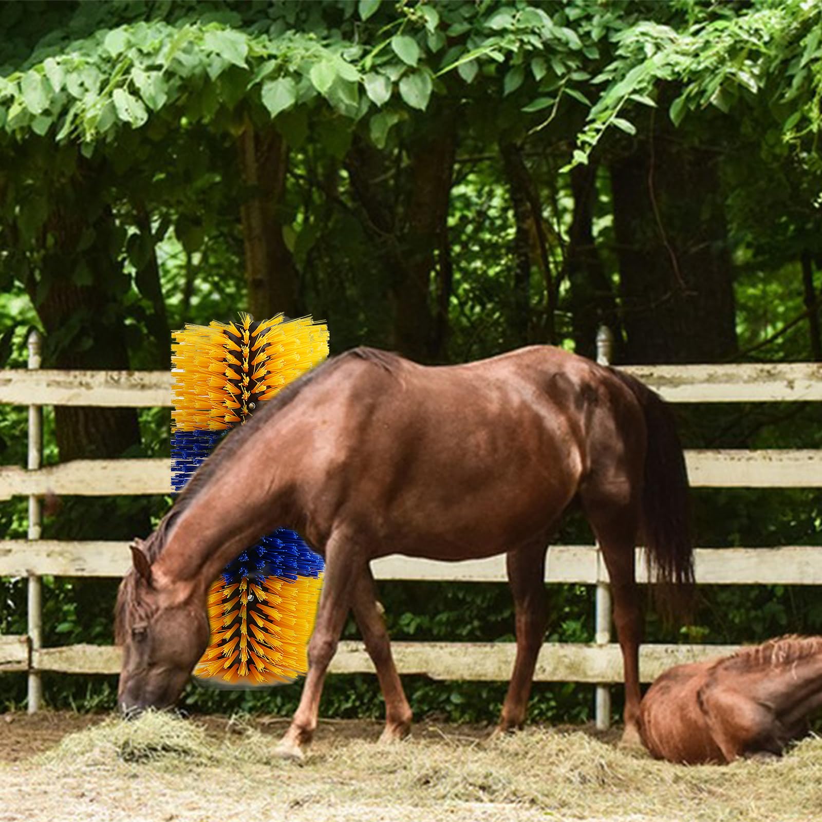 WOVTE 2 Pack Livestock Grooming Brush - Heavy Duty Cow & Horse Scratcher with 4 Screws - Perfect for Horses, Goats, Sheep, Pigs, Deer & Donkeys - Ideal for Barn, Stable & Pasture Use