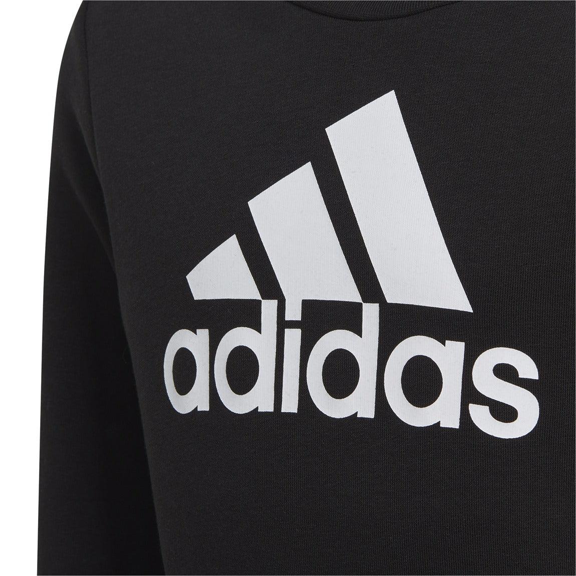 Essentials Big Logo Cotton Sweatshirt for Girls - Comfortable Casual Pullover for School, Playdates & Everyday Wear