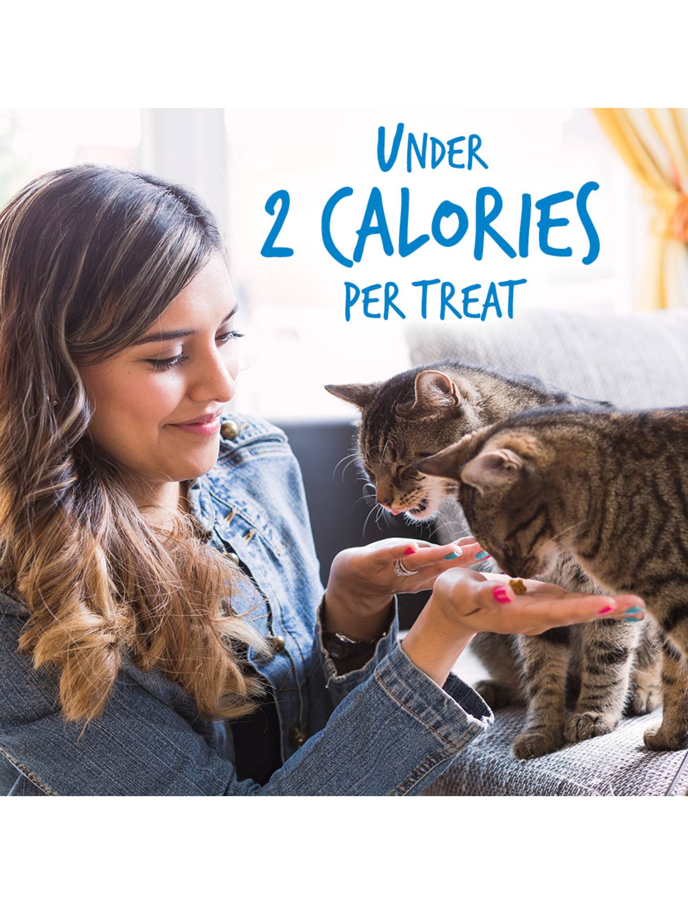 Fruitables Crunchy Chicken & Blueberry Cat Treats 2.5oz - Natural Grain-Free Cat Snacks for Indoor & Outdoor Cats - Perfect for Training, Rewards, and Daily Treats