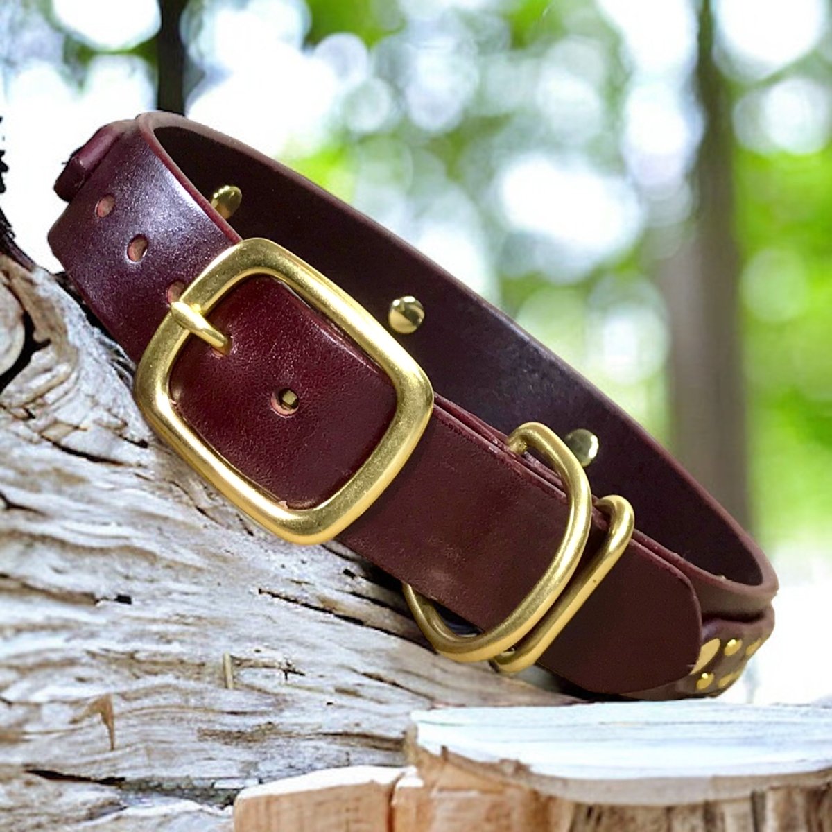 Premium Hamptons Leather Dog Collar - Handcrafted Genuine Leather Pet Collar with Adjustable Buckle for Small Medium Large Dogs - Perfect for Walks Training & Fashion Accessories