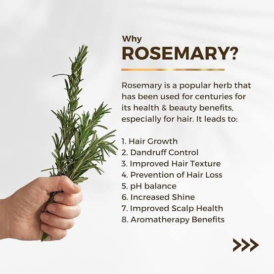 ALPS ORGANIC Rosemary Water Spray for Hair Growth & Thickening | Sulfate-Free, Paraben-Free | 100% Natural & Organic Hair Care (2 x 200ml) | Promotes Healthy Scalp & Shine for Daily Hair Routine