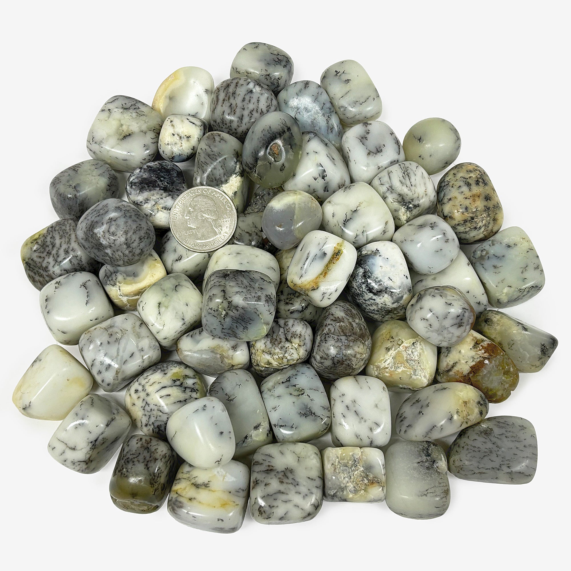 1Lb Polished Dendritic Agate Tumbled Stones - Bulk Healing Crystals for Meditation, Reiki & Home Decor - Natural Gemstones for Jewelry Making & Spiritual Healing