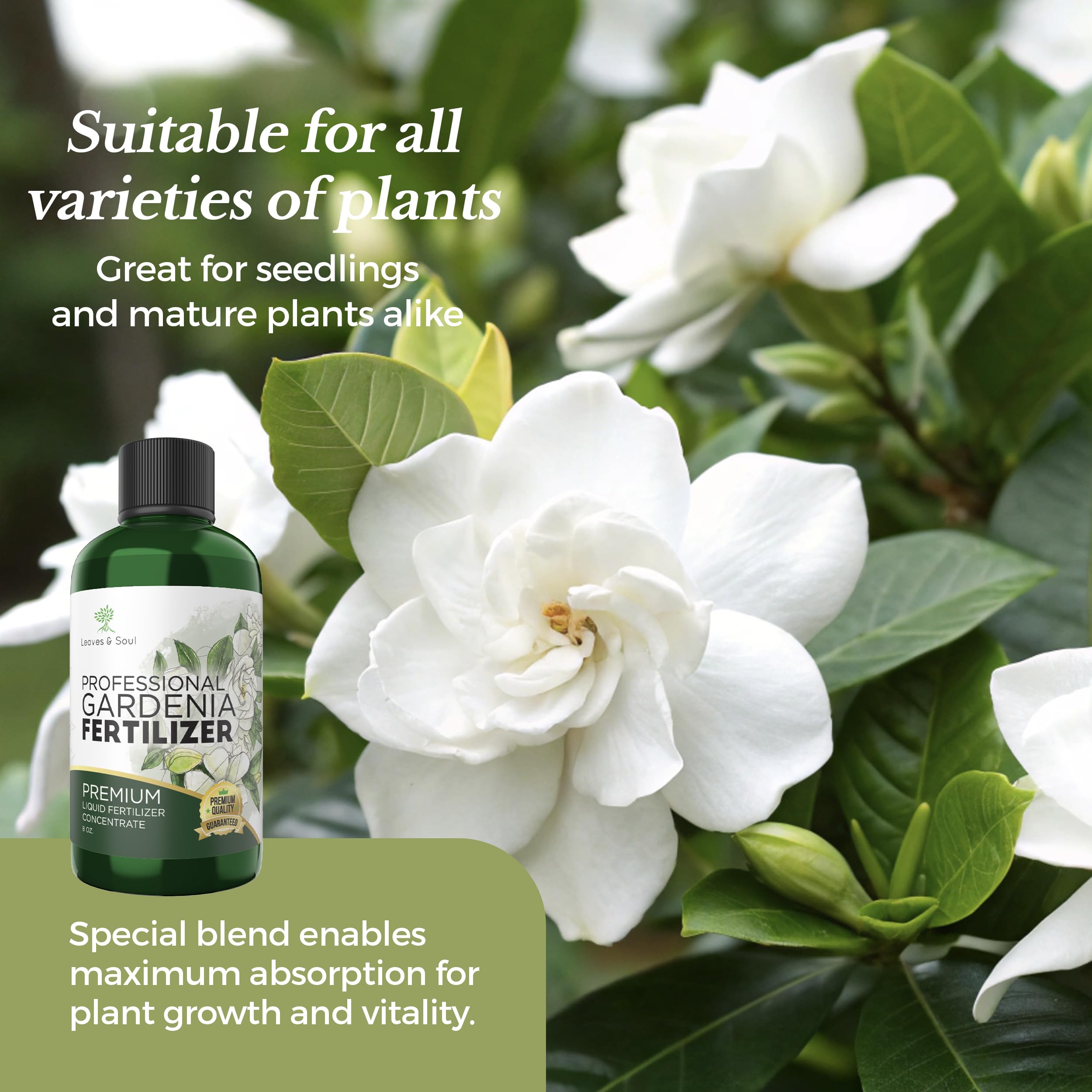 Premium Liquid Gardenia Plant Fertilizer 3-1-2 NPK Concentrate - Flowering Plant Food for Indoor & Outdoor Gardenias - 8oz Bottle for Healthy Blooms & Vibrant Growth - Ideal for Potted Plants, Landscaping & Home Gardening