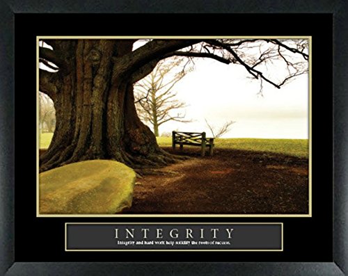 3 Pack Framed Motivational Posters - Cactus, Integrity, Vision Lake - 22x28 Inch Inspirational Wall Art for Home & Office Decor | Perfect for Living Room, Bedroom, or Workspace