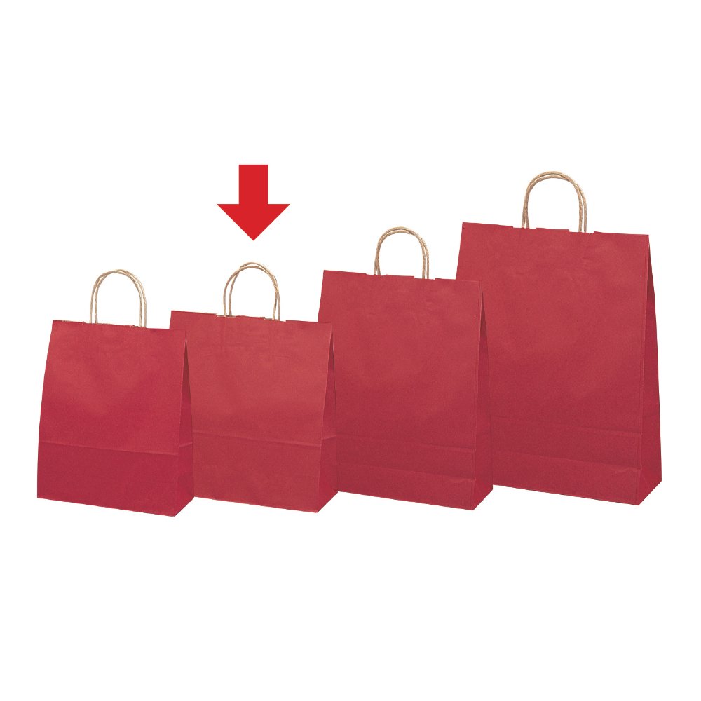 Taka Corporation 50-5206 Premium Gift Bags - Rouge Red Medium Size (50 Sheets) - Perfect for Birthday, Wedding & Party Favors