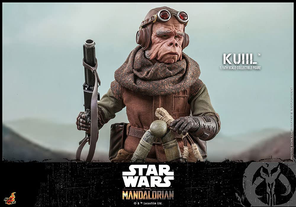 Hot Toys 1:6 Scale Kuiil Action Figure - The Mandalorian Collectible Toy for Adults, Star Wars Gift for Fans | Display, Collection, Cosplay Prop