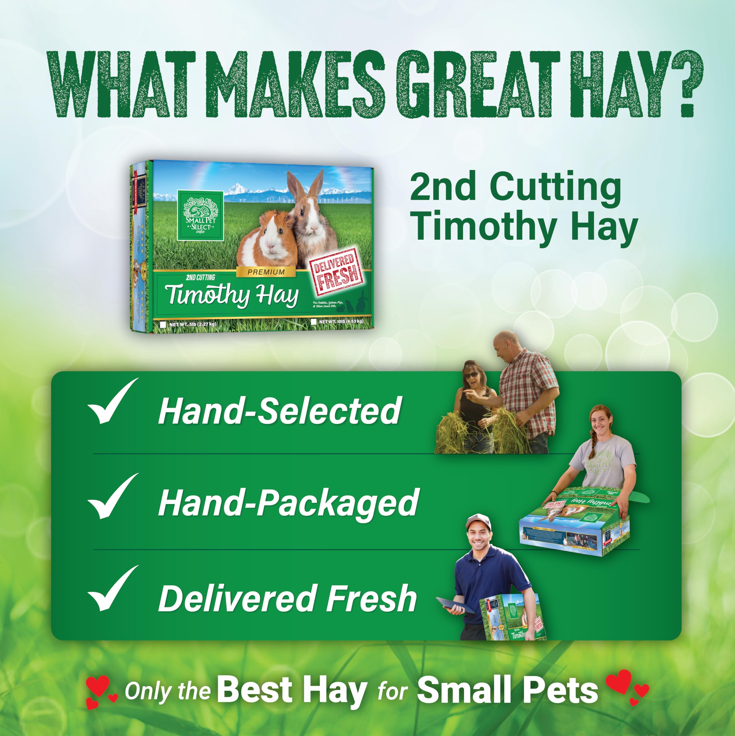 Premium 2nd Cut Timothy Hay for Small Pets - 25lb, Ideal for Rabbits & Guinea Pigs