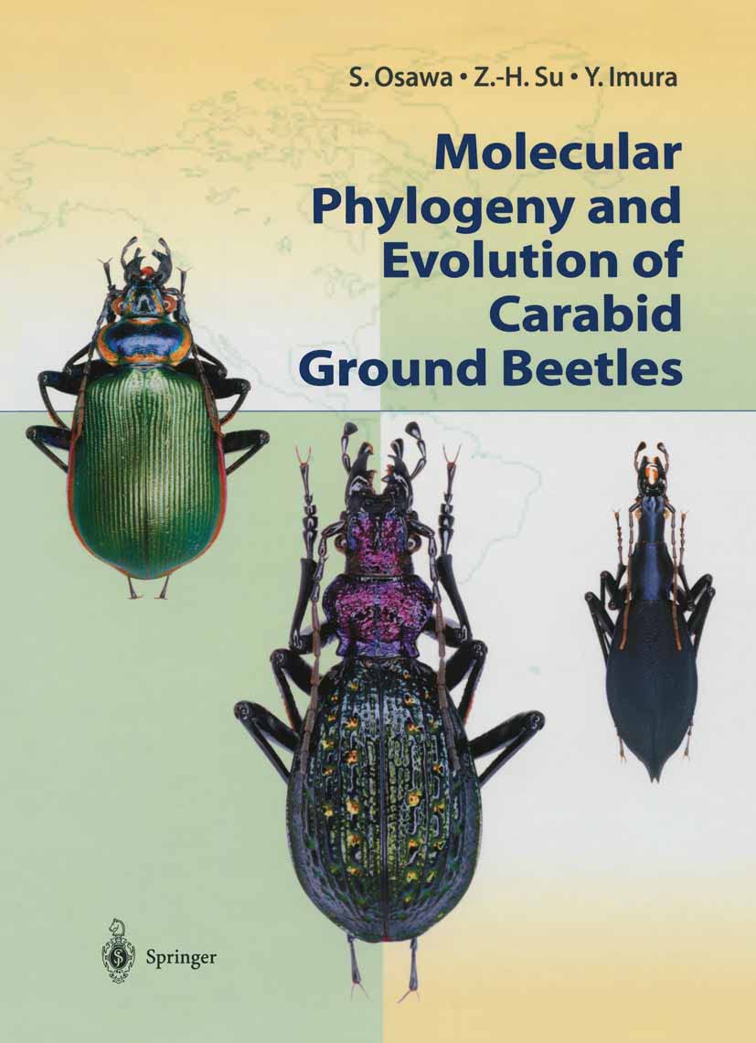 Molecular Phylogeny and Evolution of Carabid Ground Beetles - Research Study on Beetle Species for Entomologists and Biology Students | Perfect for Academic Research and Insect Classification