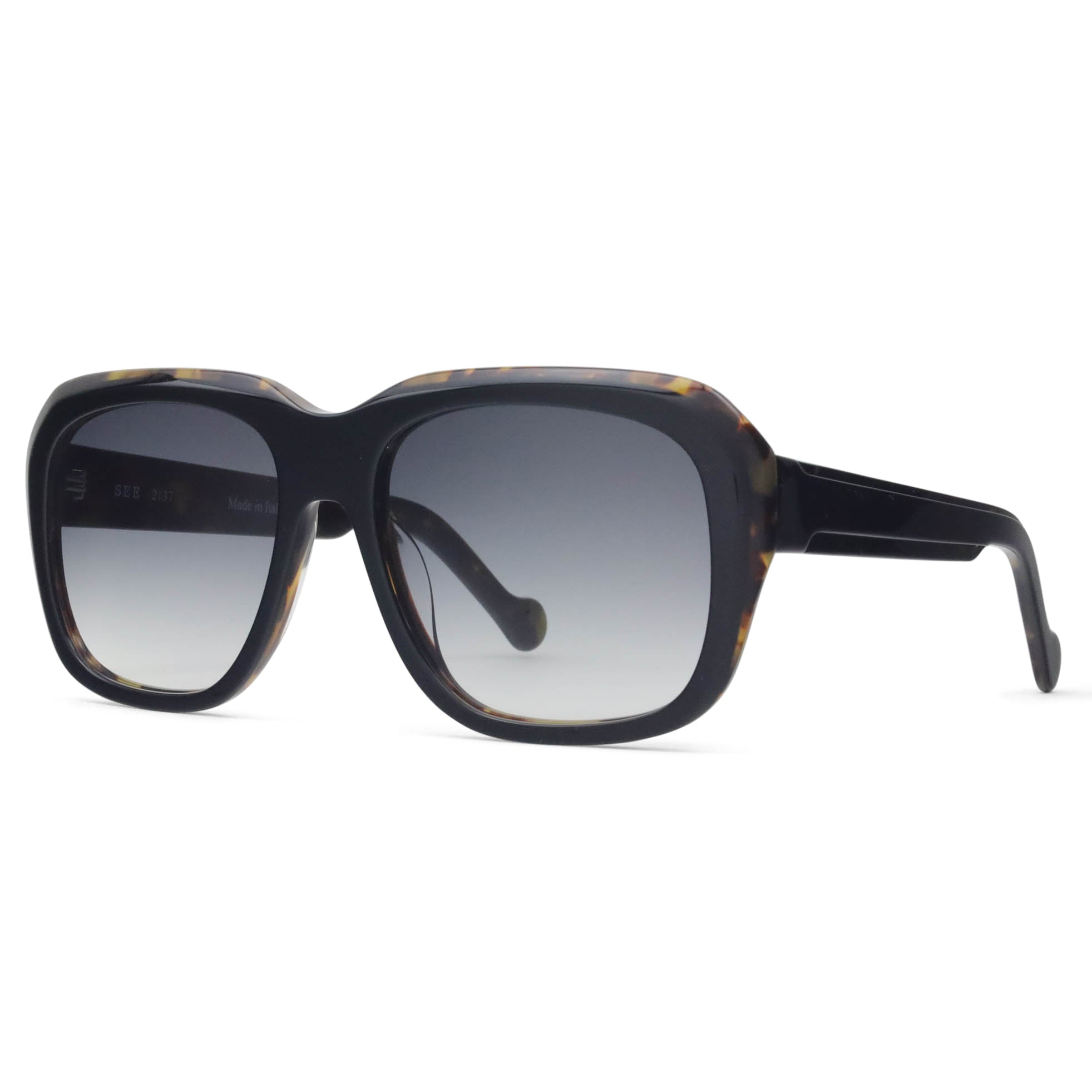 See 2137 Sun - High-Quality UV Protection Sunglasses for Men & Women | Perfect for Outdoor Activities, Beach, Driving & Travel