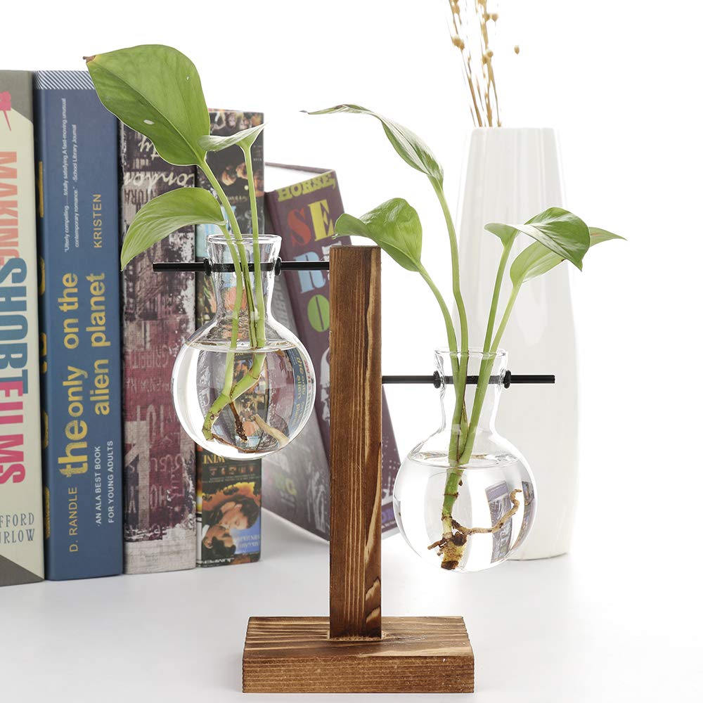 Retro Glass Terrarium Planter with Solid Wood Stand - Hydroponic Bulb Vase for Succulents, Air Plants | Perfect for Home, Office, Wedding & Garden Decor