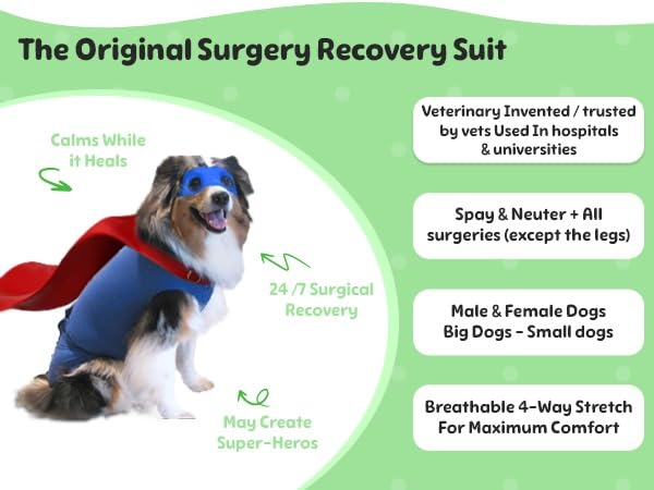 SurgiSnuggly Dog Surgery Recovery Suit - Post-Surgical Onesie for Spayed Female & Neutered Male Dogs (Sizes S/M/L) | Cone Alternative Pet Bodysuit in Pink | Ideal for Wound Protection & Comfort After Vet Procedures