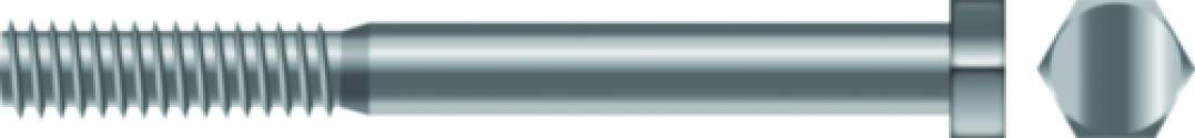 SEACHOICE Stainless Steel Hex Head Cap Screws 1/4