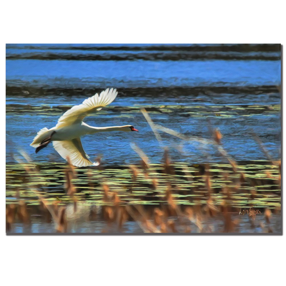 Trademark Art Skimming Swan Giclee Canvas Art Print - 16x24 Inches Wall Decor for Living Room, Bedroom & Office - Elegant Home Decor & Gift Idea