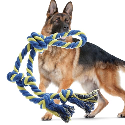 Blue Yellow