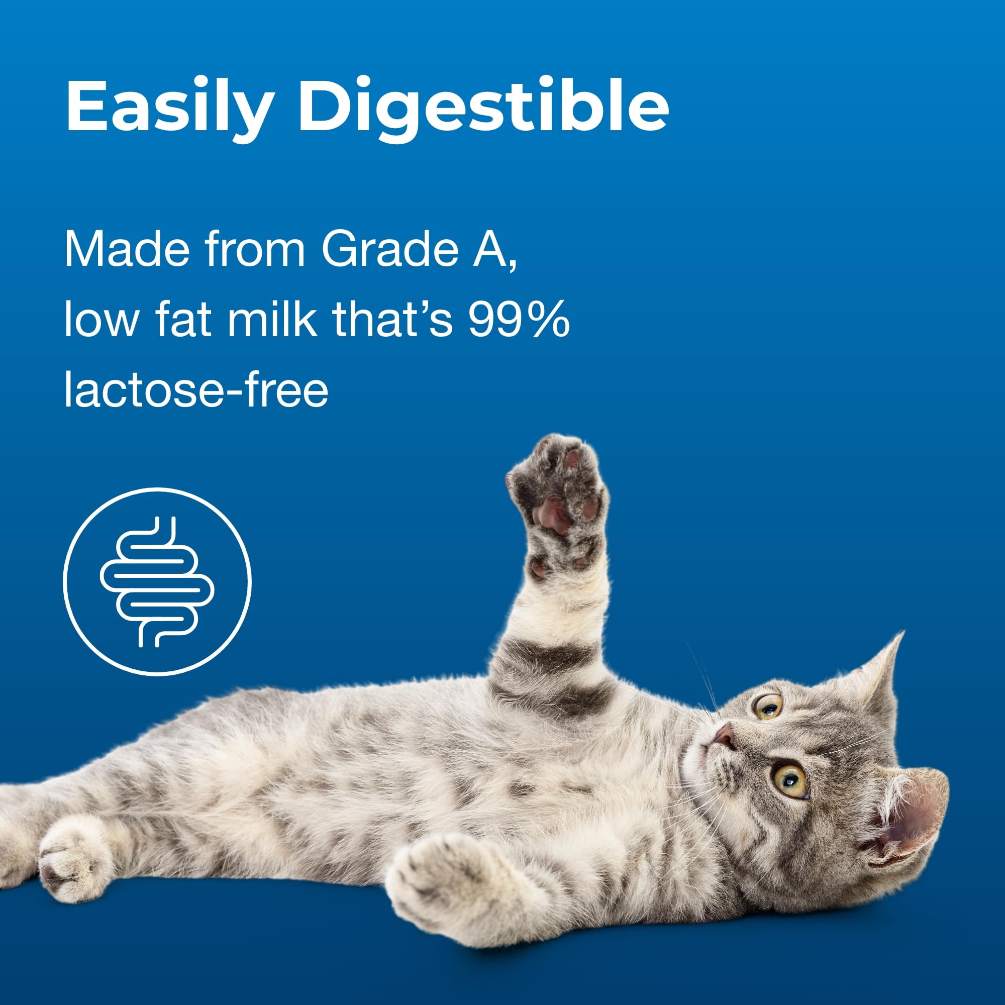 Pet-Ag Cat-Sip Real Milk Treat for Cats & Kittens - 8oz, 6 Pack - 99% Lactose-Free Low-Fat Grade A Milk Snack - Promotes Hydration, Eye & Heart Health - Easy to Digest Ready-to-Feed Cat Milk - Perfect for Treat Time, Training Rewards & Hydration Booster