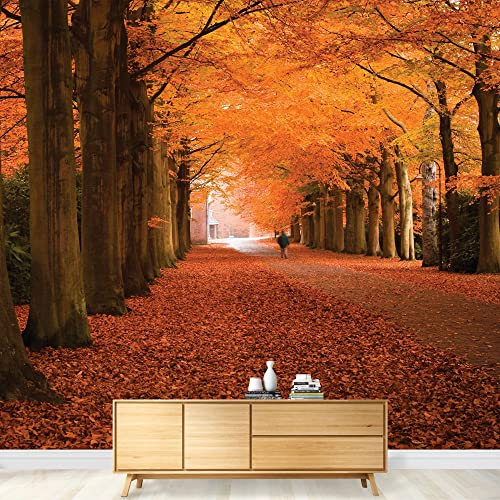 Autumn Orange Leaved Trees