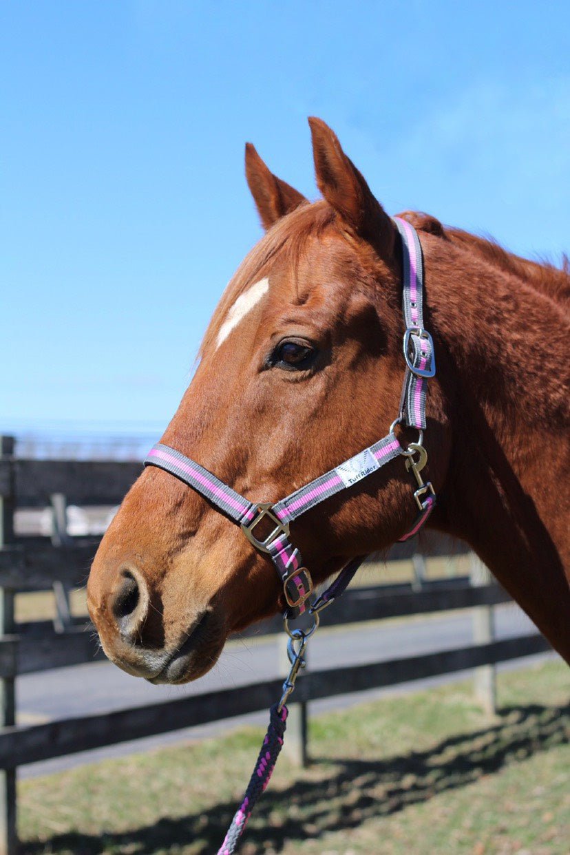 TuffRider Nylon Breakaway Halter & Lead Rope Set for Horses - Durable Equestrian Training Gear for Trail Riding, Show Prep & Stable Use