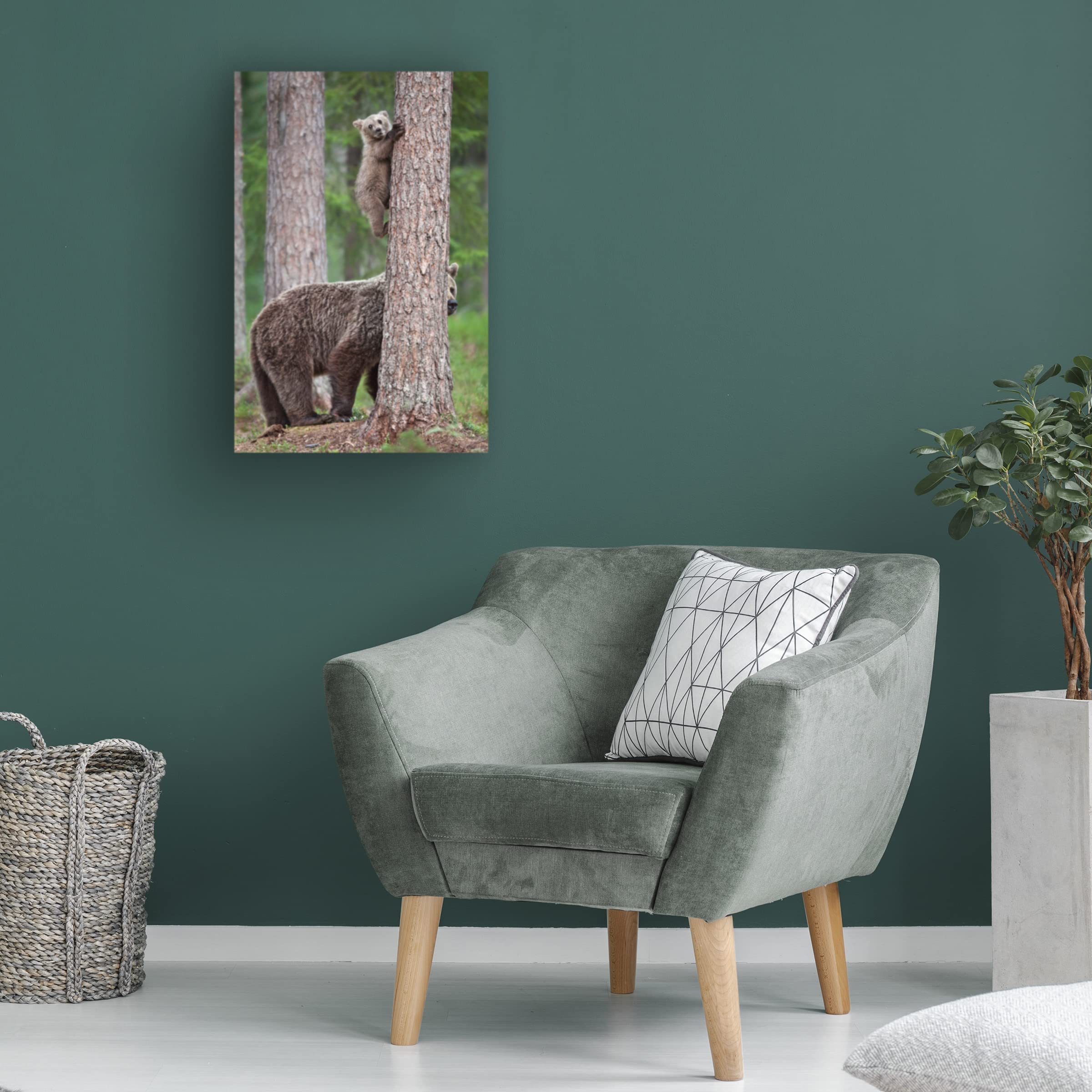 Trademark Fine Art 'Be Carefully' Canvas Wall Art by Alessandro Catta - Modern Home Decor for Living Room, Bedroom & Office