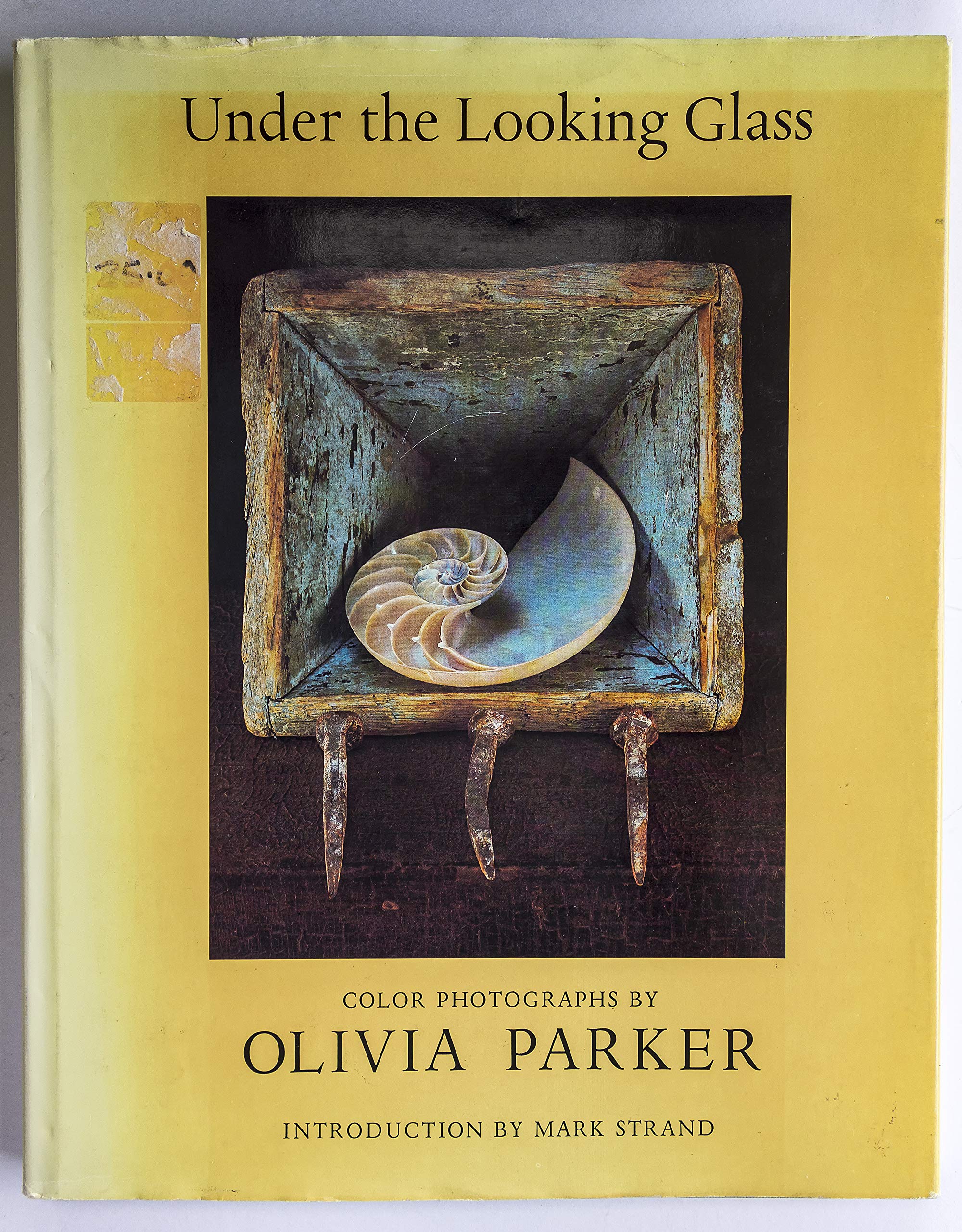 Under the Looking Glass - A New York Graphic Society Book | Art Book for Home Decor & Gift Ideas