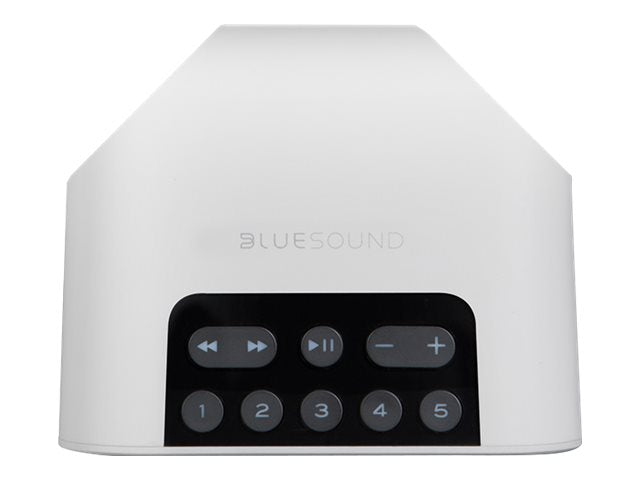 Bluesound PULSE FLEX 2i Wireless Hi-Fi Speaker - Premium Sound Quality for Home, Office & Outdoor Use | Stream Music via WiFi & Bluetooth | Perfect for Parties, Relaxation & Entertainment