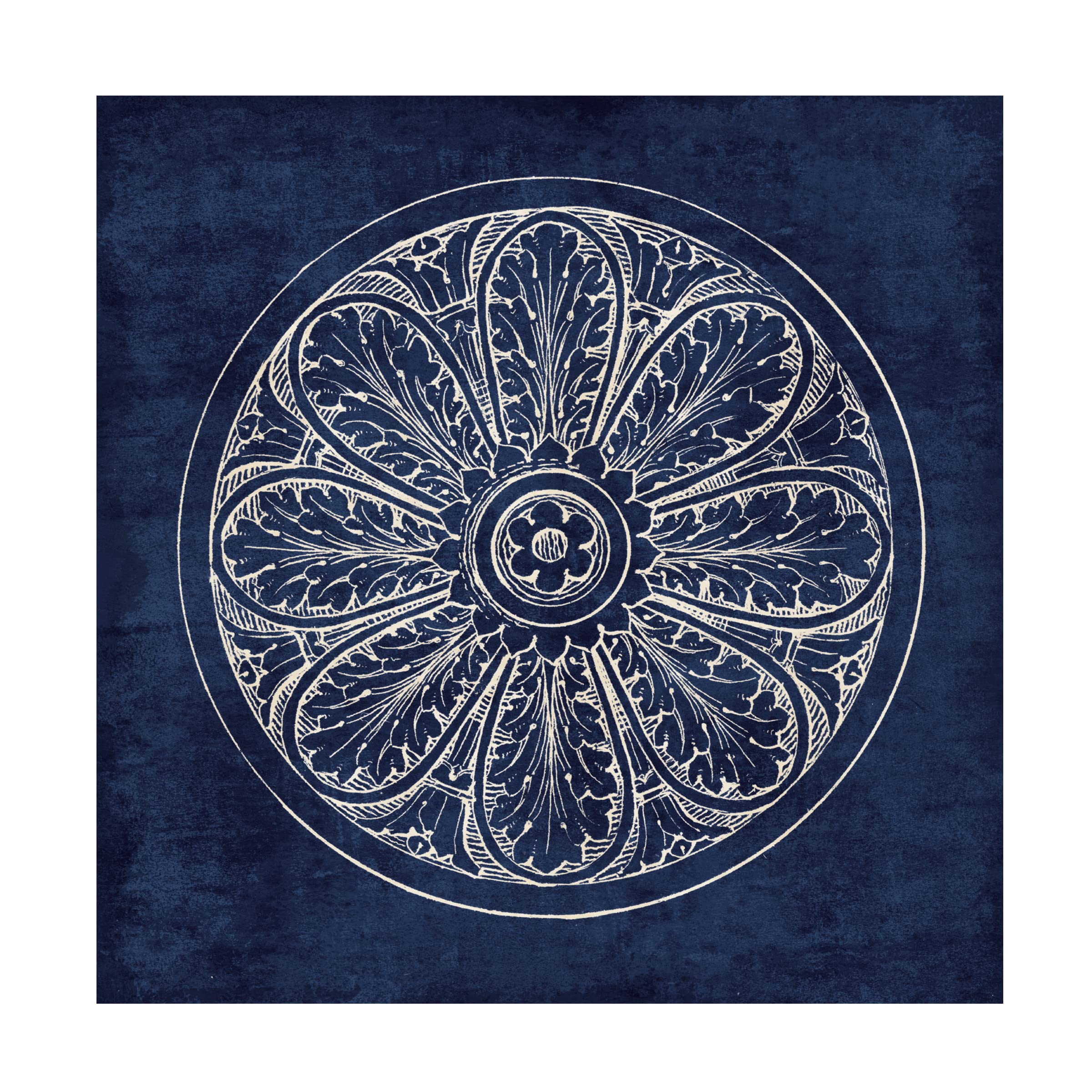 Trademark Fine Art 'Rosette VIII Indigo' Canvas Wall Art Print by Wild Apple - Modern Home Decor for Living Room, Bedroom & Office