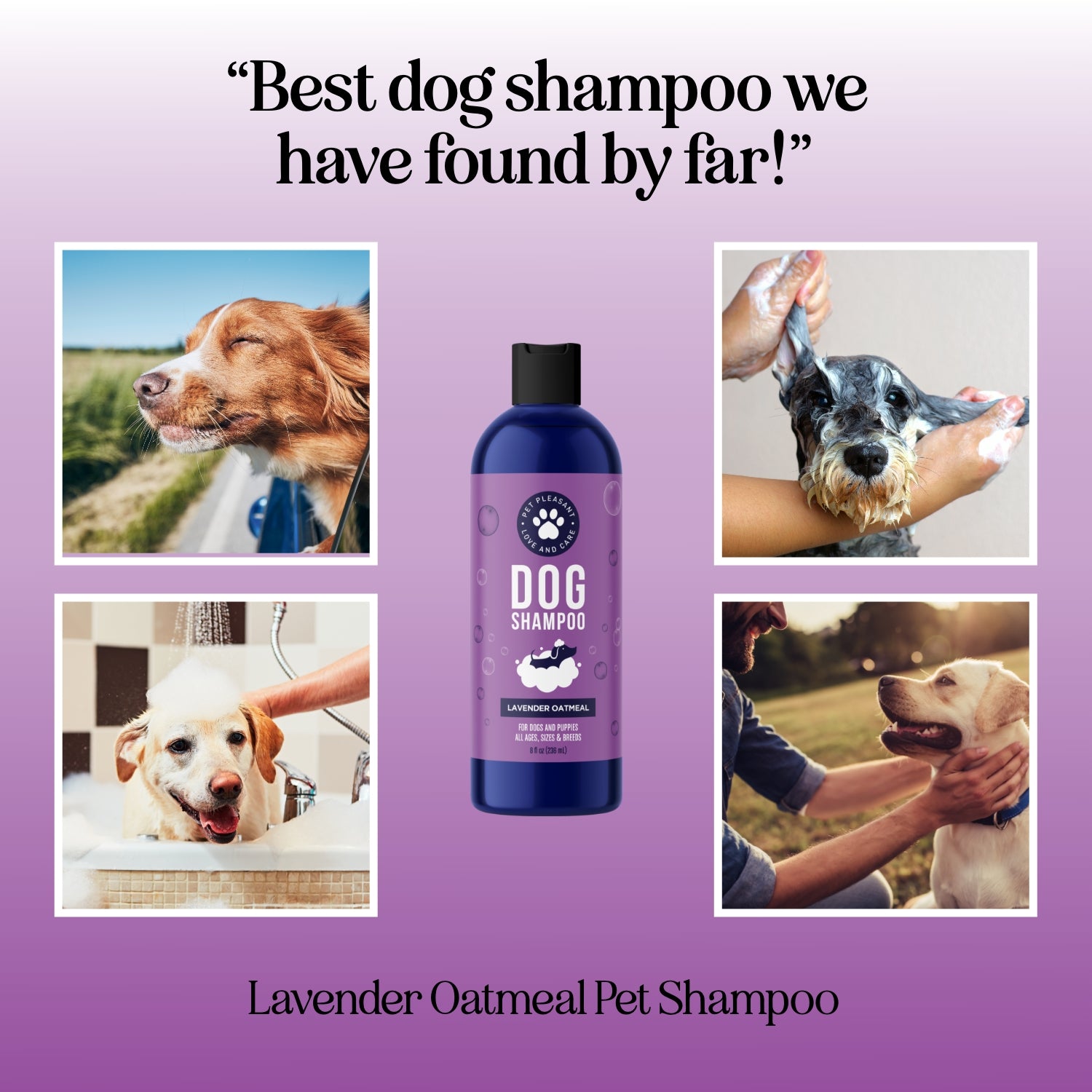 Natural Lavender Oatmeal Pet Shampoo for Dogs & Cats - Soothing & Hypoallergenic Formula for Dry, Itchy Skin - Perfect for Bath Time & Grooming