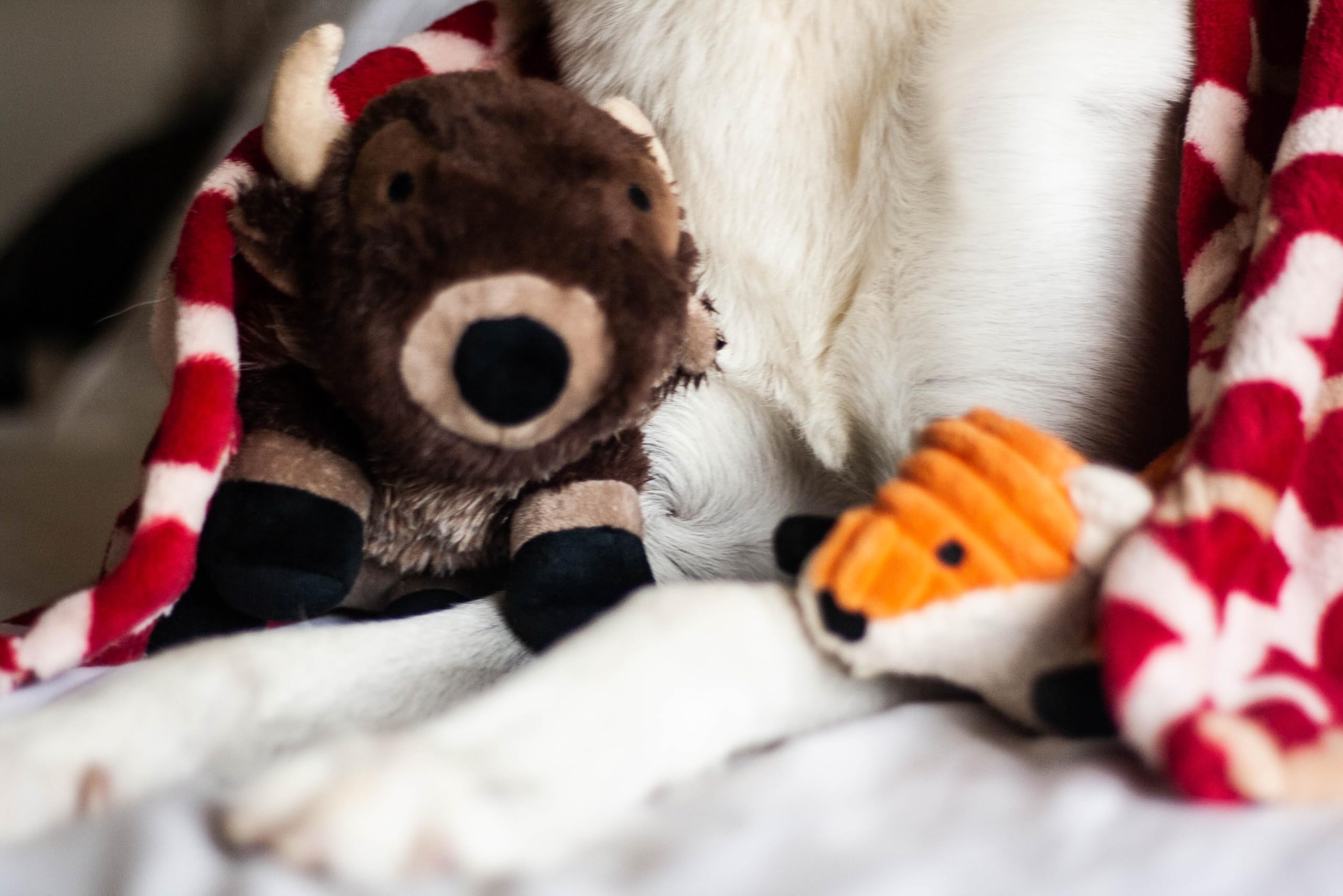 Tall Tails Buffalo Squeaky Dog Toy - Durable Chew Toy for Large & Small Dogs - Perfect for Playtime, Training & Interactive Fun