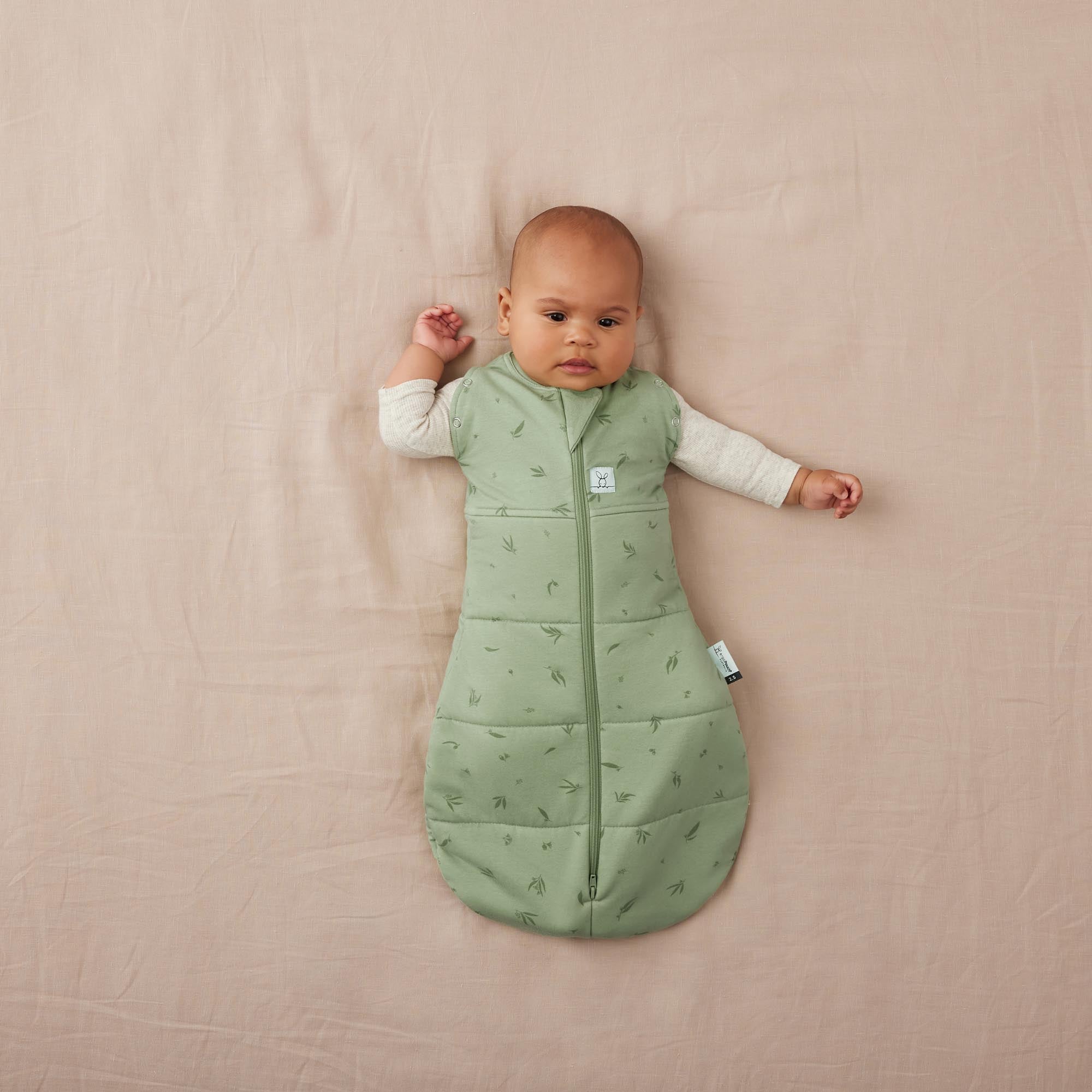 ErgoPouch Cocoon Zip Swaddle Bag 2.5 TOG - Premium Baby Sleep Sack for Newborns & Infants - Soft & Breathable Willow Design - Perfect for Nursery, Daycare & Travel