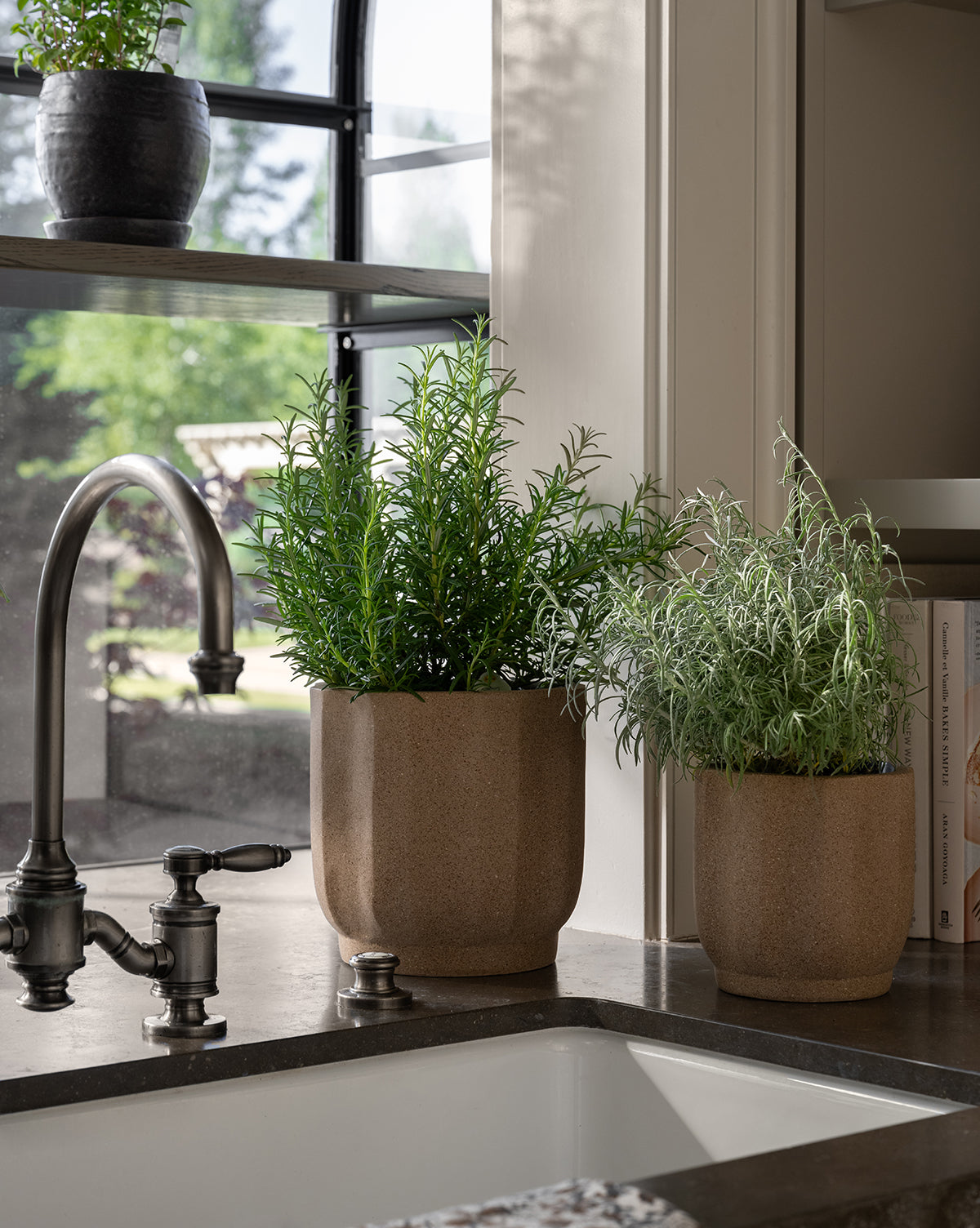 Trella Planter - Modern Self-Watering Flower Pot for Indoor Plants, Succulents & Herbs | Perfect for Home, Office & Balcony Decor