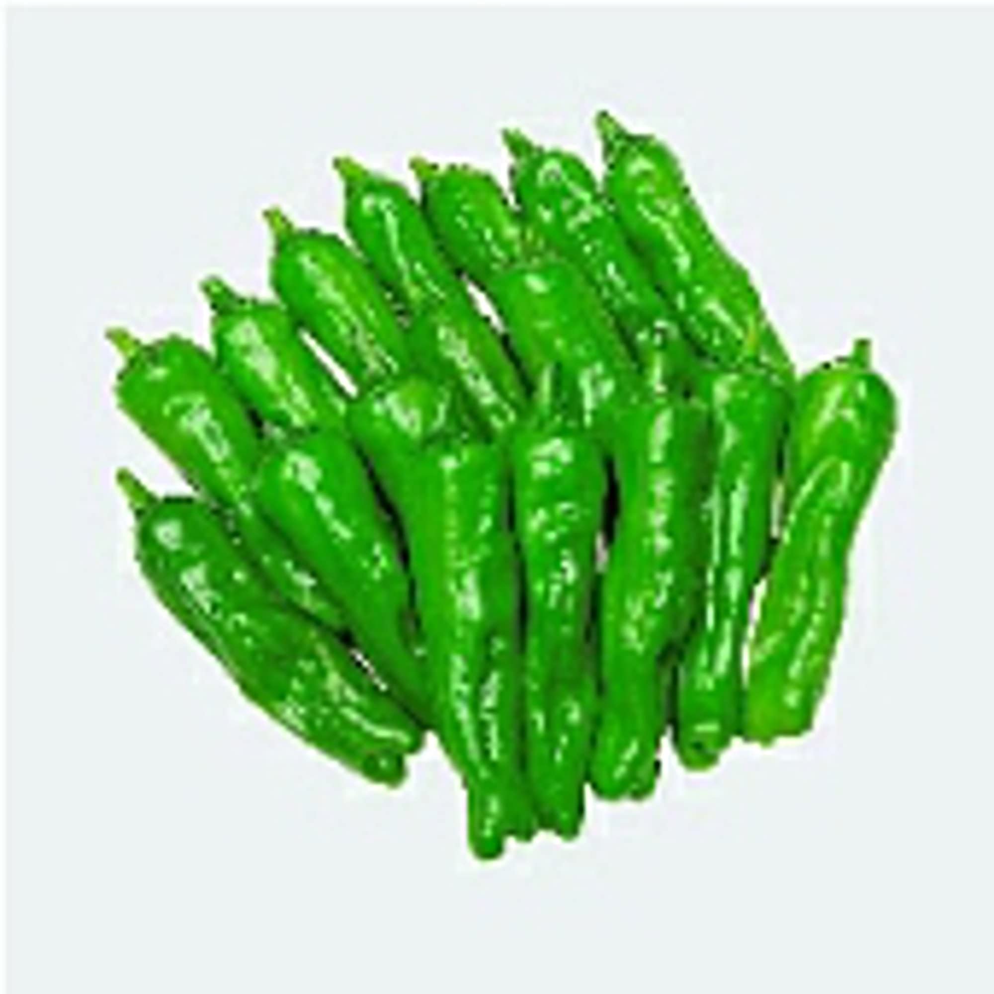 Organic Shishito Pepper Seeds (20+ Seeds) - Non-GMO Heirloom Vegetable Seeds for Planting - Home Garden, Greenhouse, Container Gardening - Perfect for Stir-Fry, Grilling & Japanese Cuisine