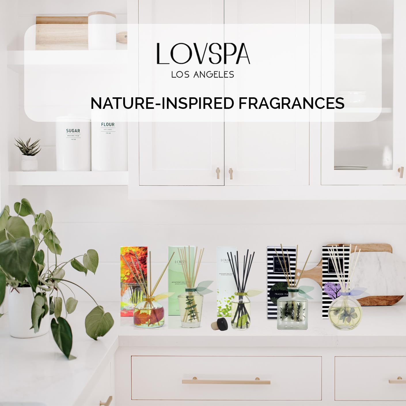 LOVSPA Beachwood Vetiver Reed Diffuser Set - Natural Essential Oil Aromatherapy Diffuser - Non-Toxic Home Fragrance - Made in USA - Perfect for Living Room, Bedroom & Office Relaxation