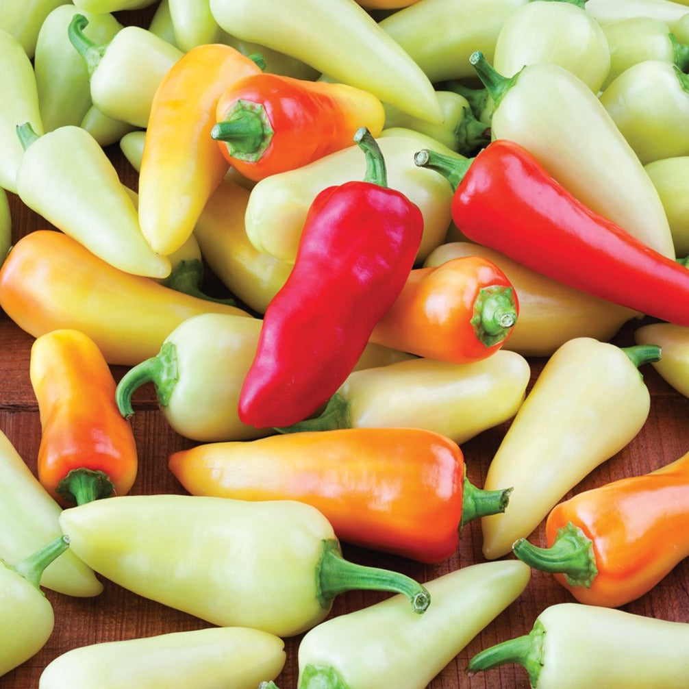 Santa Fe Grande Pepper Seeds - Non-GMO, Heirloom, Hot Chili Pepper Seeds for Planting - Perfect for Home Gardens, Salsas, and Spicy Dishes
