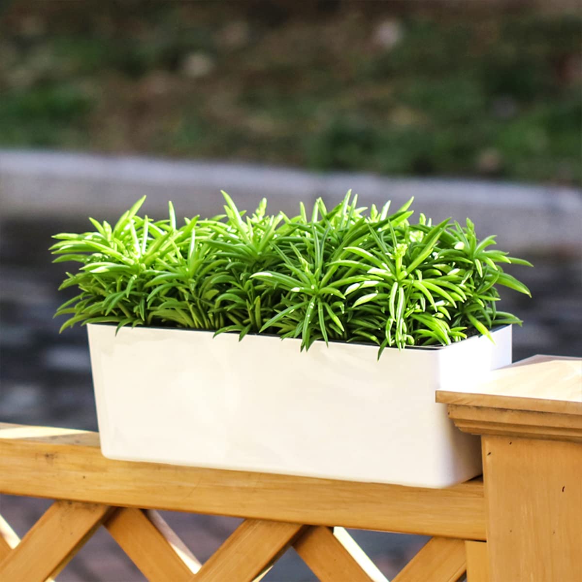 2 Pack Black Self Watering Rectangular Planters - 15.6 x 5.4 Inch Indoor Window Sill Flower Pots with Drainage Holes | Perfect for Herbs, Succulents & Small Plants in Kitchen, Office or Balcony