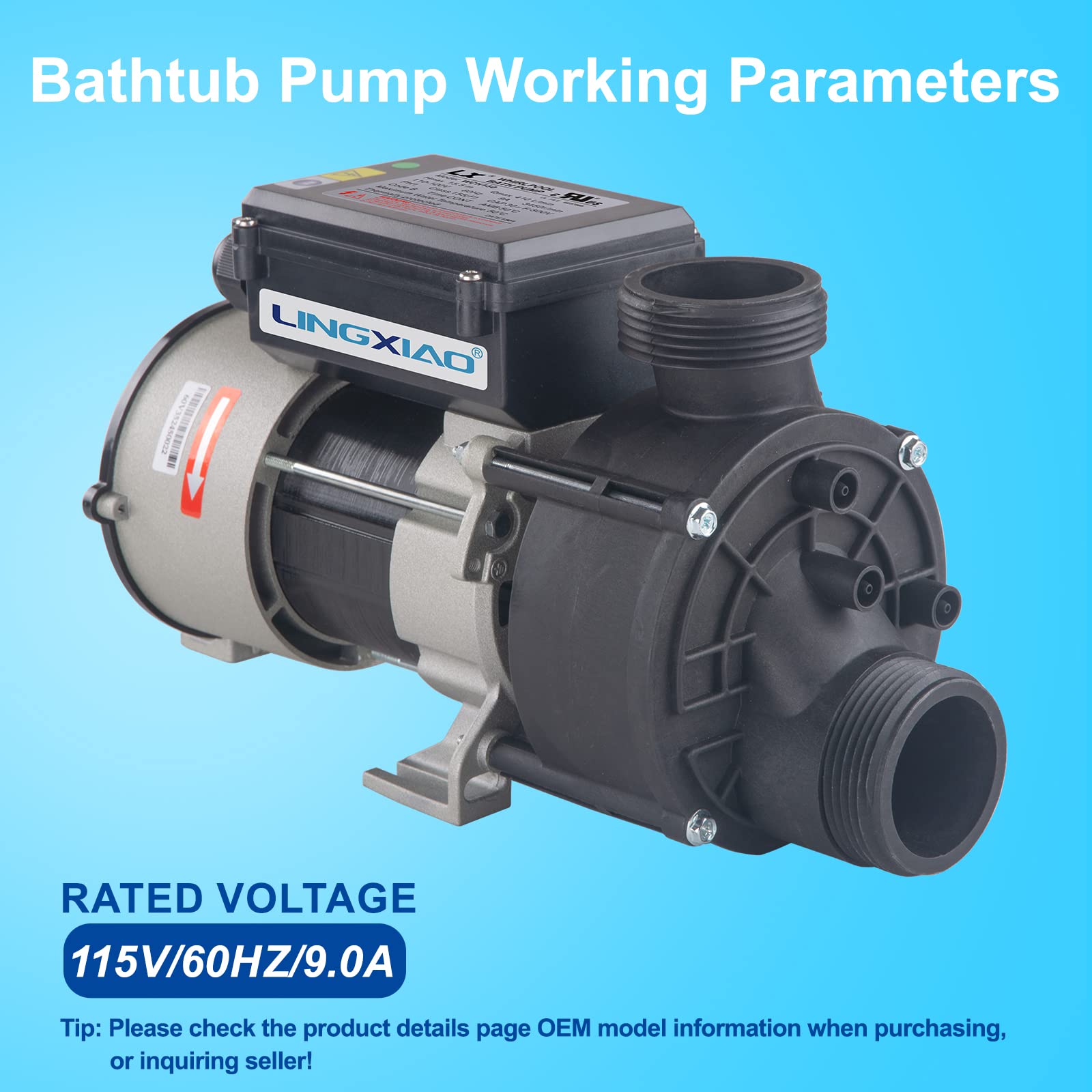 1.5HP Water Pump for Bath & Hot Tub - 110V-120V LX Pump Motor with 1.5