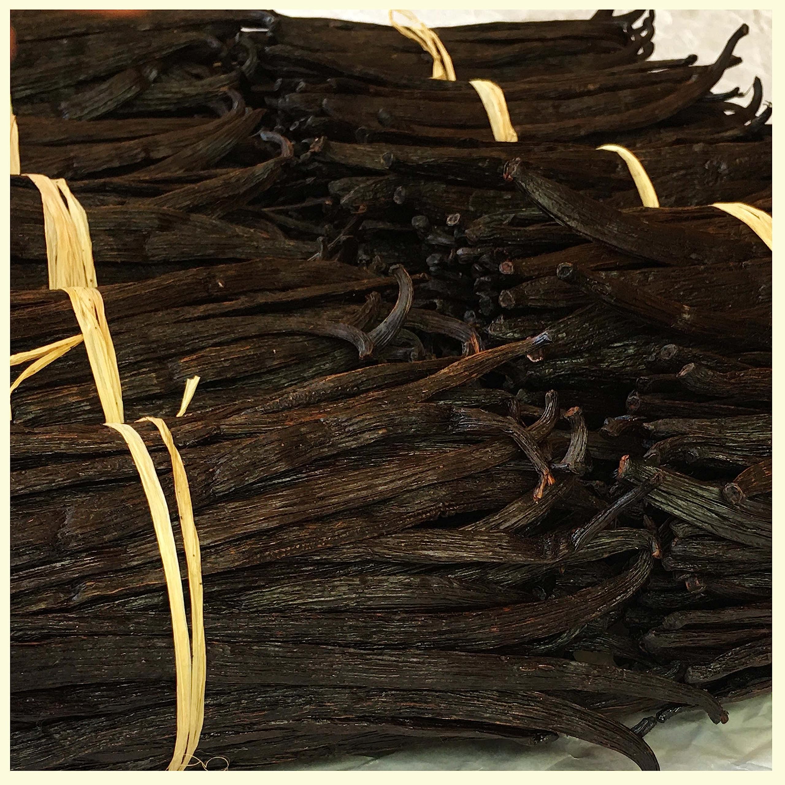 Premium 2 Lb. Bulk Grade A Vanilla Beans - Whole Vanilla Pods for Extract Making, Cooking, Baking & Desserts | Non-GMO, Natural Flavor Enhancer | Perfect for Homemade Ice Cream, Cakes & Gourmet Recipes by NY