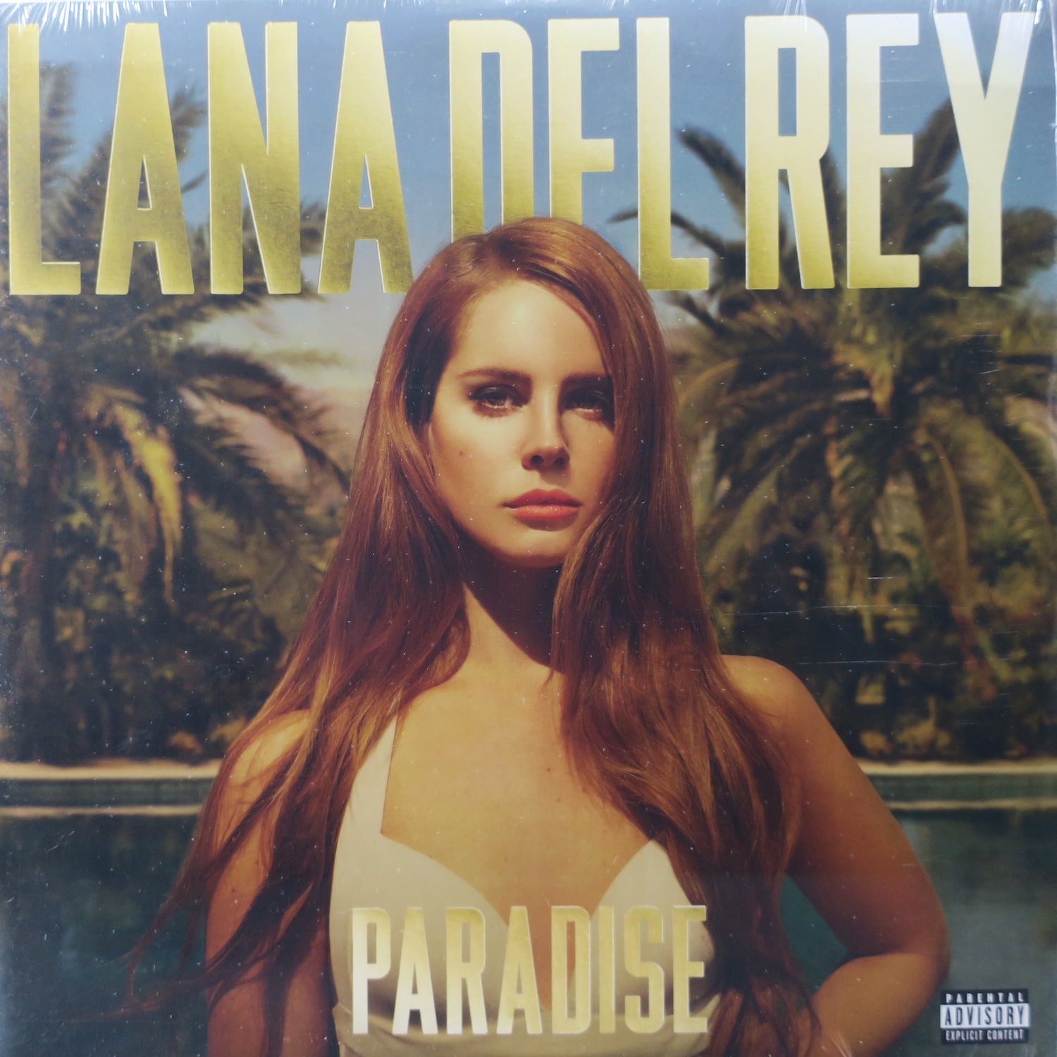 Lana Del Rey 'Paradise' Vinyl Record LP Album - Limited Edition Music Collectible for Home Decor & Vinyl Enthusiasts