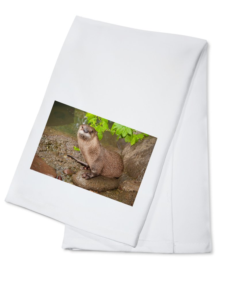 100% Cotton River Otter Tea Towel - Absorbent Decorative Hand Towel for Kitchen, Bathroom & Home Decor - Perfect for Dish Drying, Gift Giving and Coastal Theme Decor