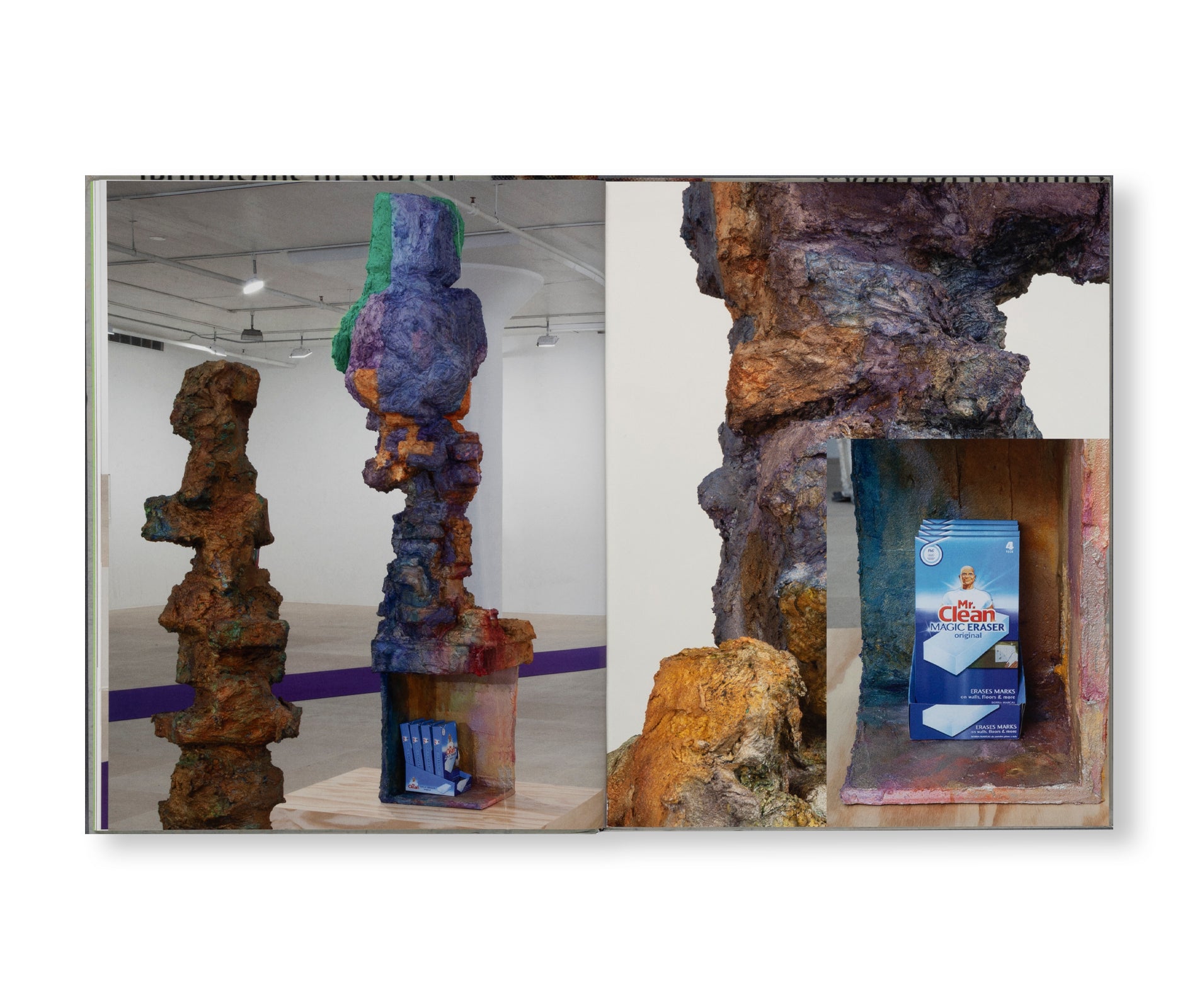 RACHEL HARRISON: FAKE TITLE Art Book by Rachel Harrison - Contemporary Art Collection for Home Decor & Artist Inspiration