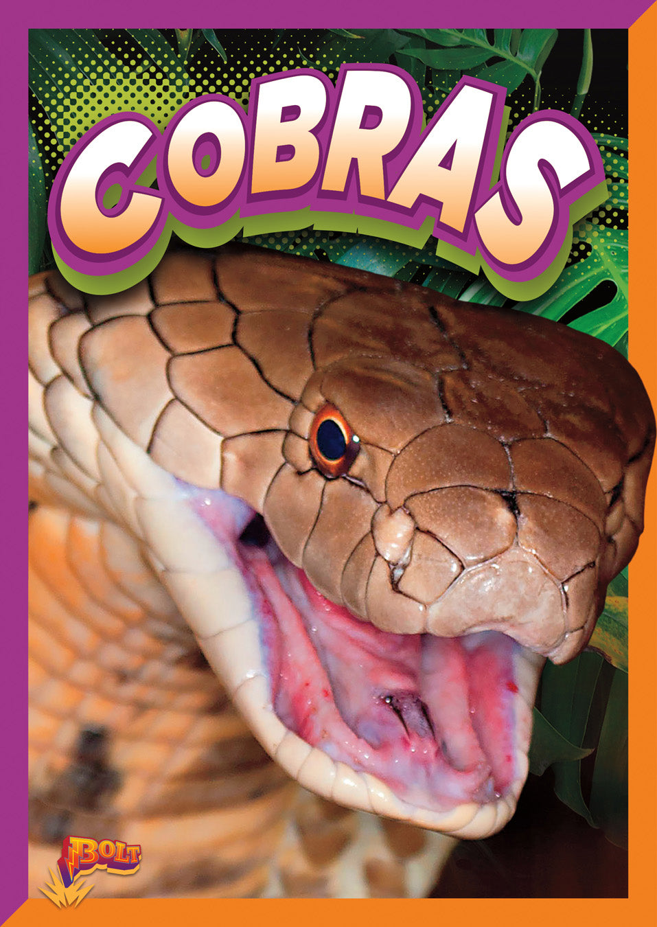Cobras Book - ISBN 9781623102722 | Reptile Guide for Kids & Adults | Perfect for School Projects & Animal Lovers
