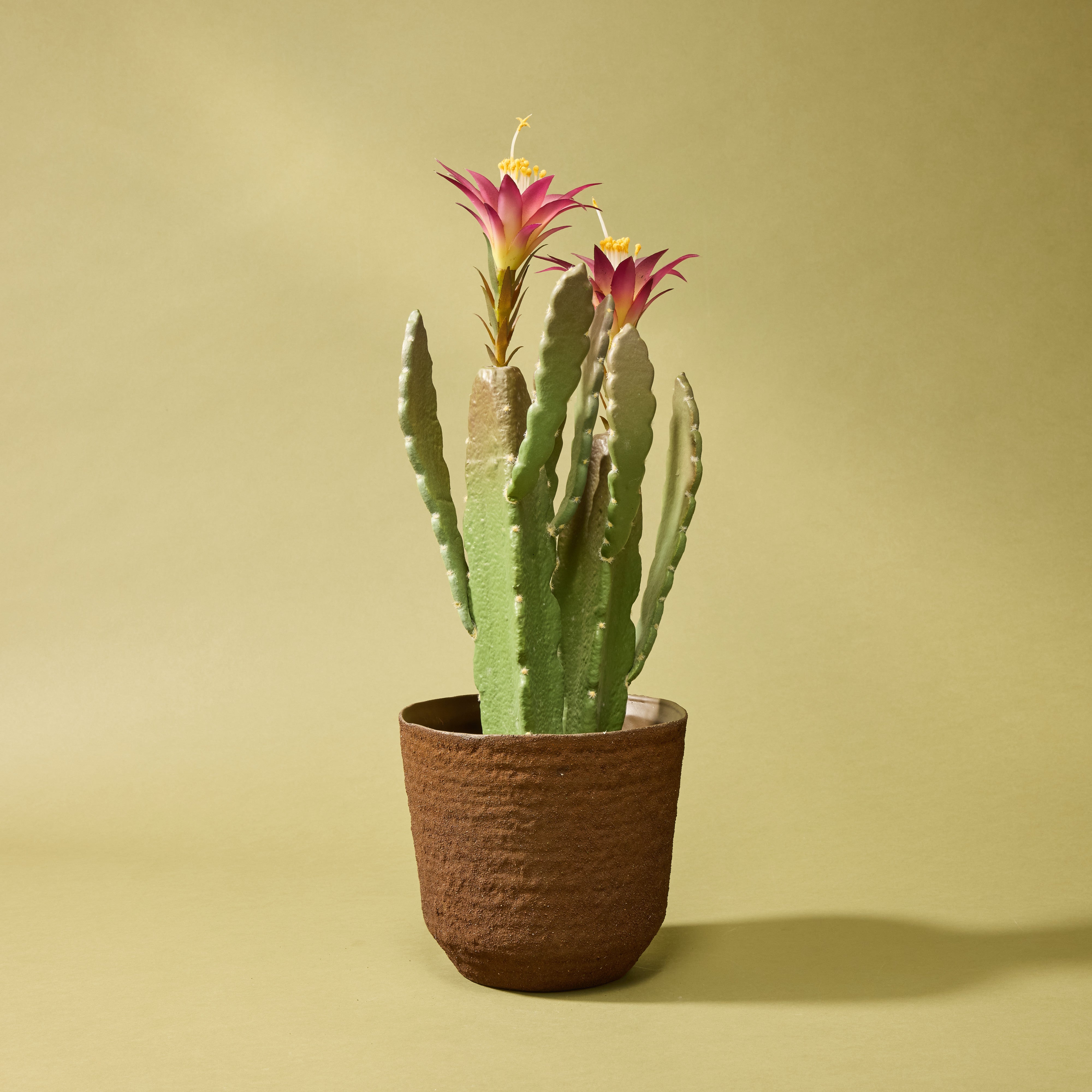 Palermo Rustic Ceramic Planter - 15cm Indoor Flower Pot for Succulents, Herbs & Small Plants | Perfect for Home, Office & Garden Decor